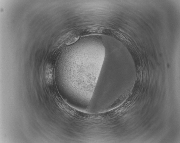 X0000060261154200511010905