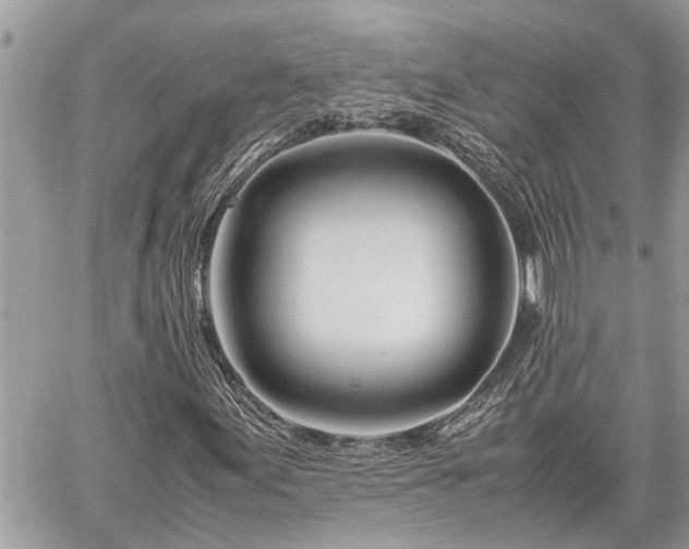 X0000060261155200511010905