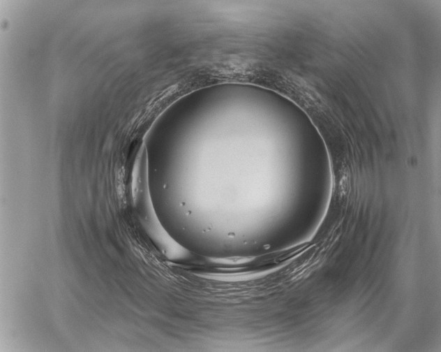 X0000060261156200511010905