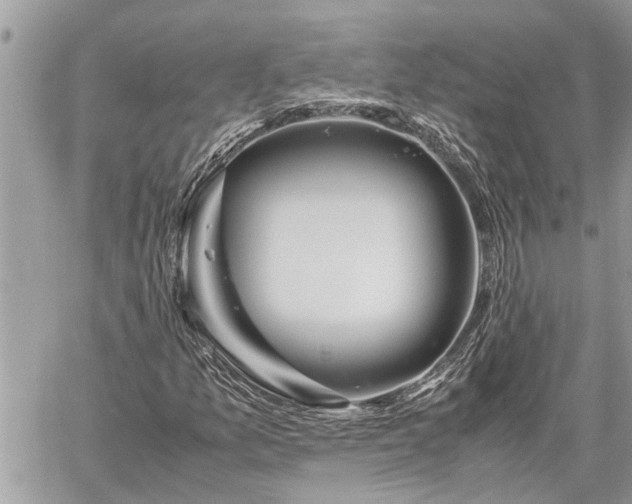 X0000060261157200511010905