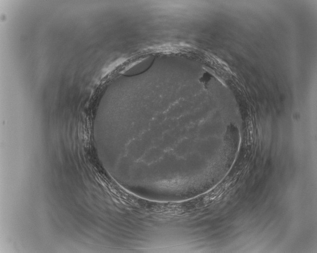 X0000060261158200511010905