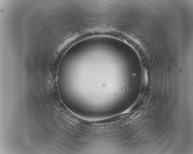 X0000060261160200511010905