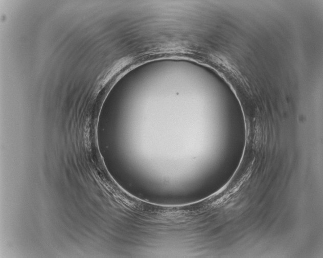 X0000060261162200511010905