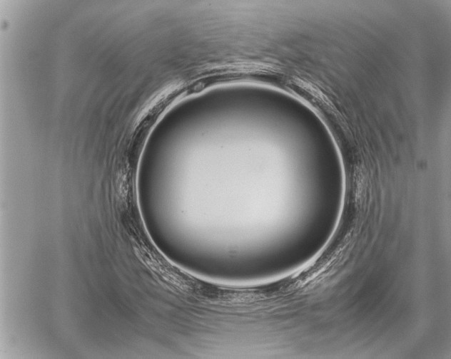 X0000060261163200511010905