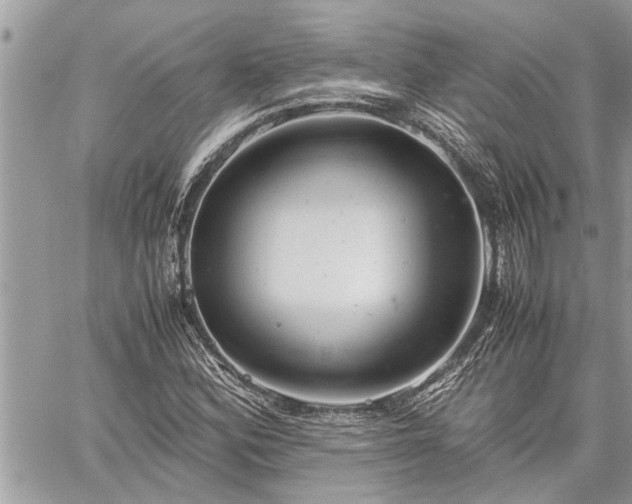 X0000060261164200511010905