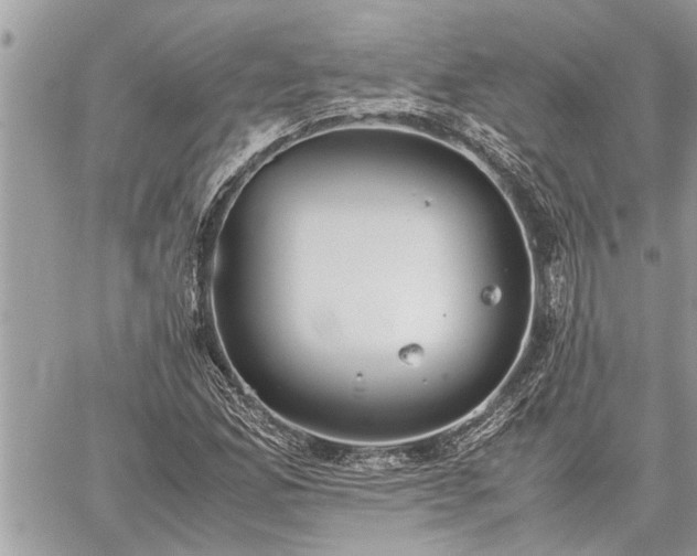 X0000060261165200511010905