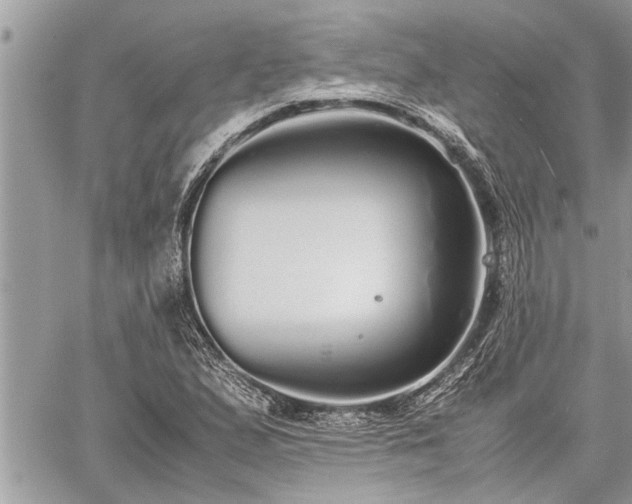 X0000060261167200511010905