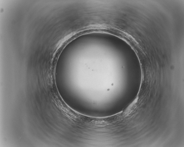 X0000060261168200511010905