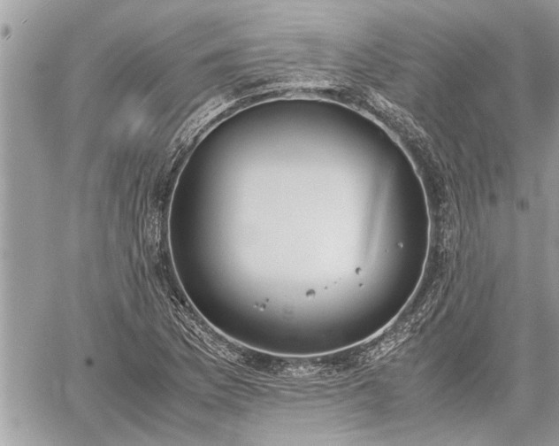 X0000060261169200511010905