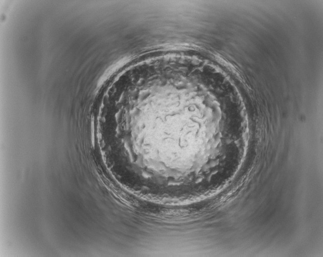 X0000060261171200511010905