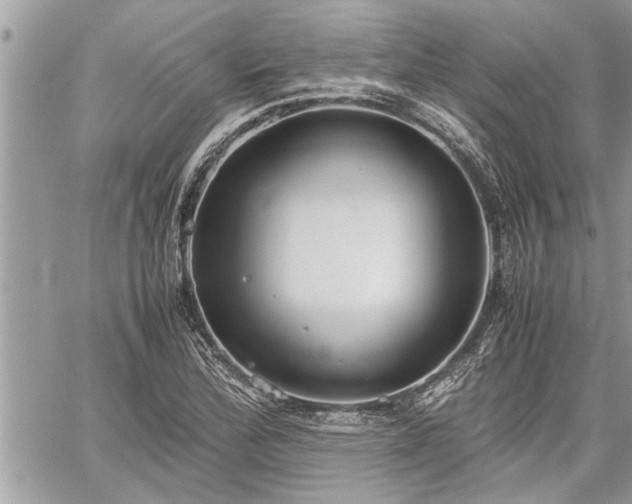 X0000060261172200511010905