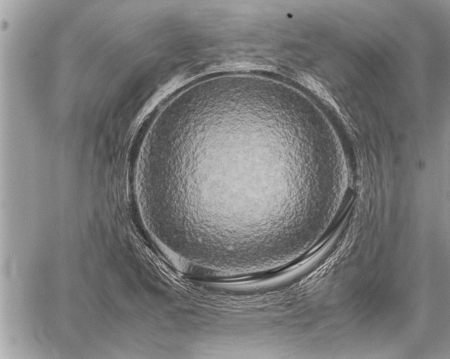 X0000060261173200511010905