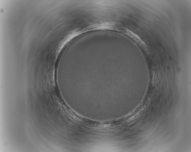 X0000060261174200511010905