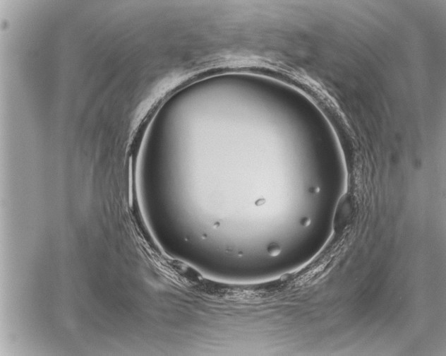 X0000060261175200511010905