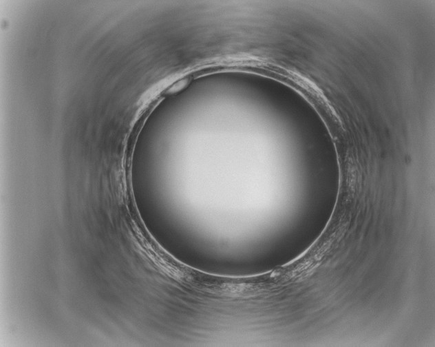 X0000060261176200511010905