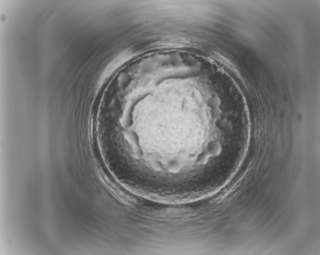 X0000060261179200511010905