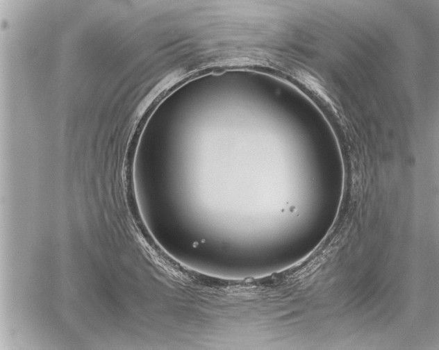 X0000060261181200511010905