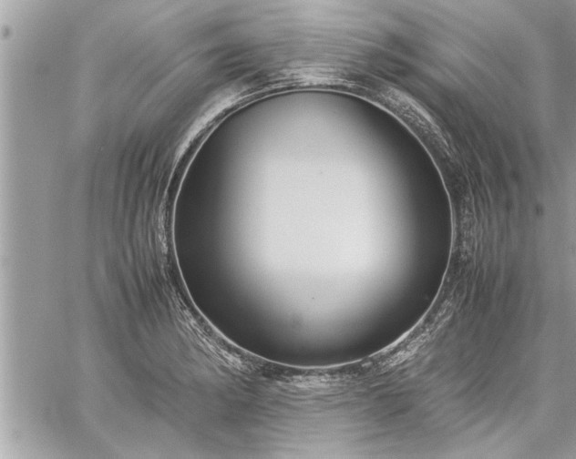 X0000060261182200511010905