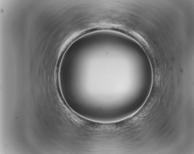 X0000060261183200511010905