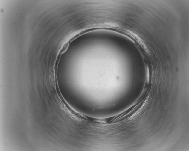 X0000060261184200511010905