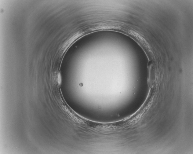 X0000060261185200511010905