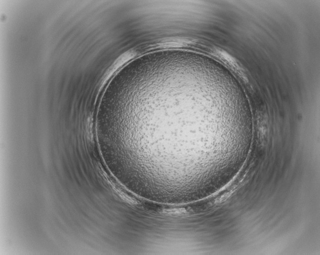 X0000060261186200511010905