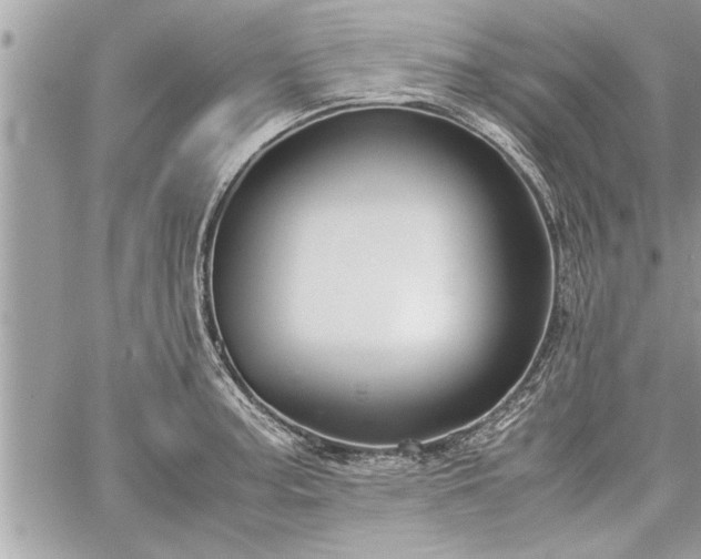 X0000060261187200511010905