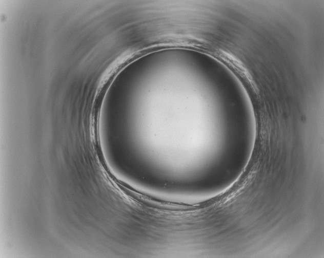 X0000060261188200511010905