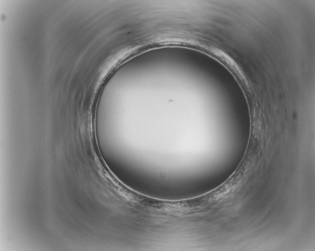 X0000060261191200511010905