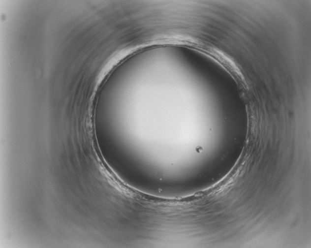 X0000060261192200511010905