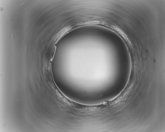 X0000060261193200511010905