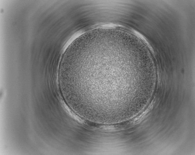 X0000060261194200511010905