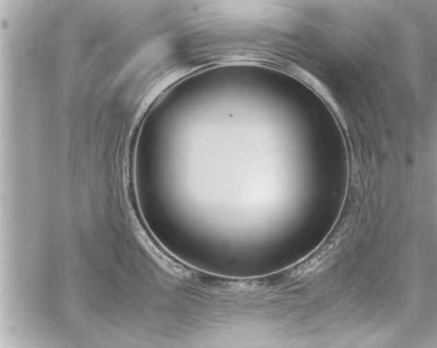 X0000060261195200511010905