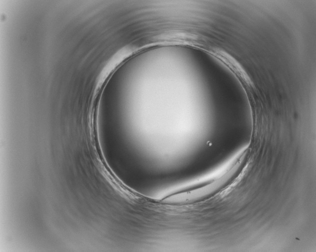 X0000060261196200511010905