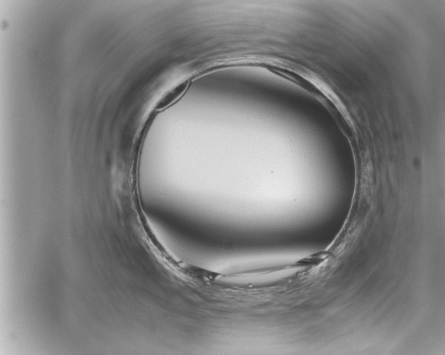 X0000060261197200511010905