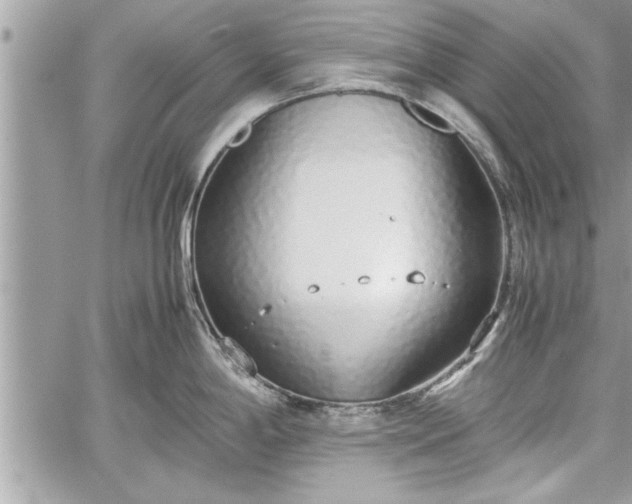 X0000060261198200511010905