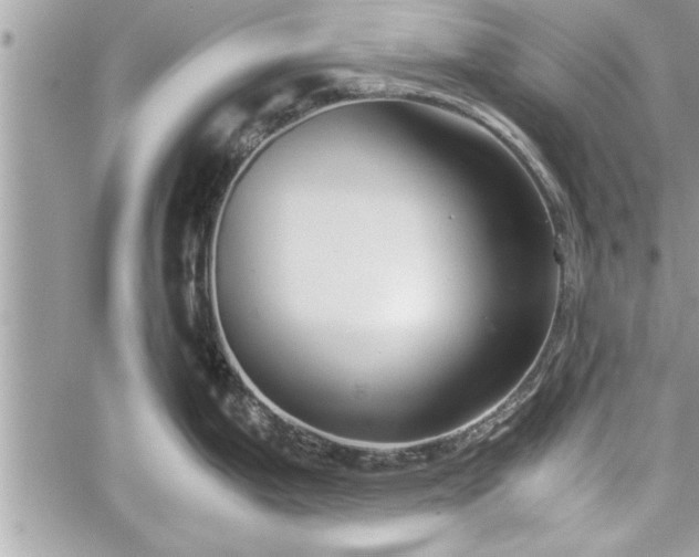 X0000060261199200511010905