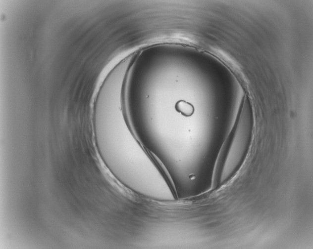 X0000060261200200511010905