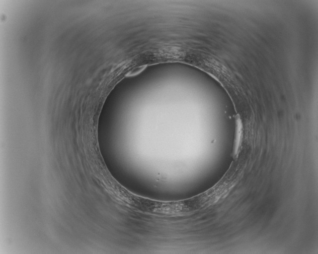 X0000060261201200511010904