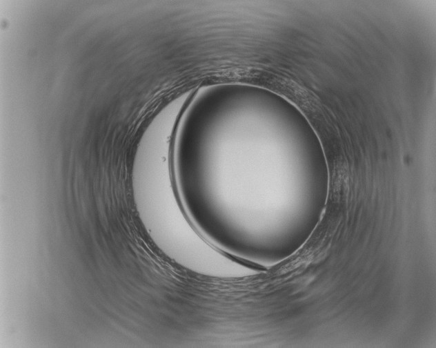 X0000060261202200511010904