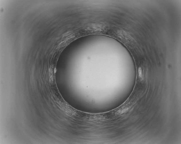 X0000060261203200511010904