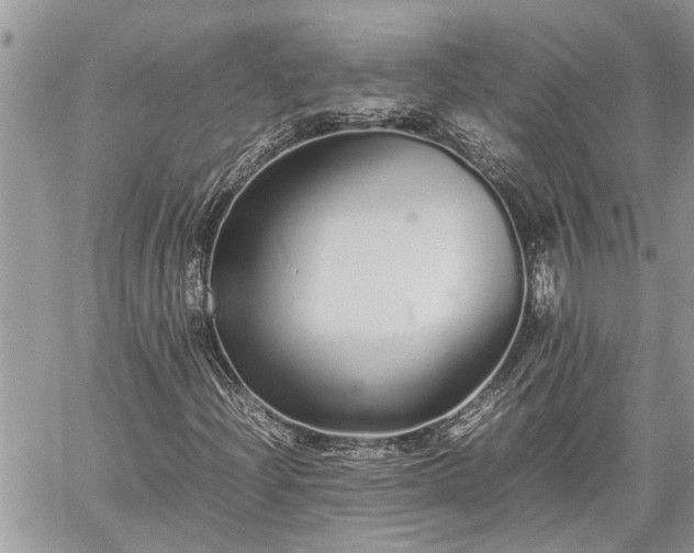 X0000060261204200511010904