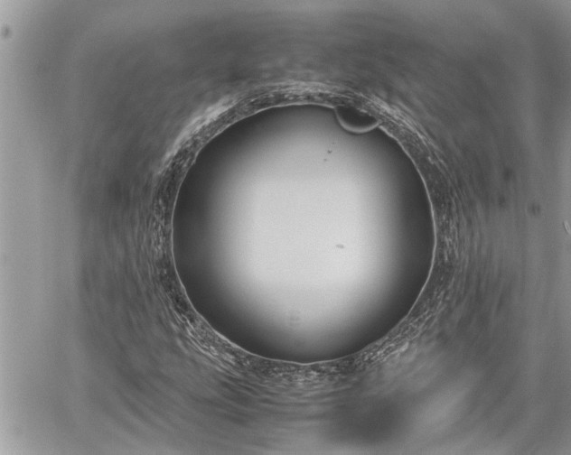 X0000060261207200511010904