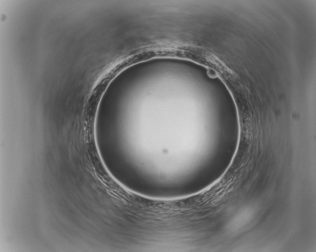 X0000060261208200511010904