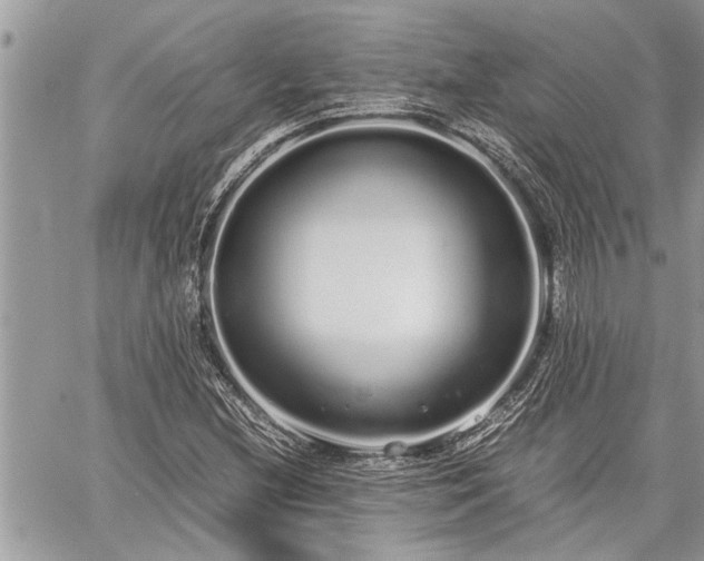 X0000060261212200511010904