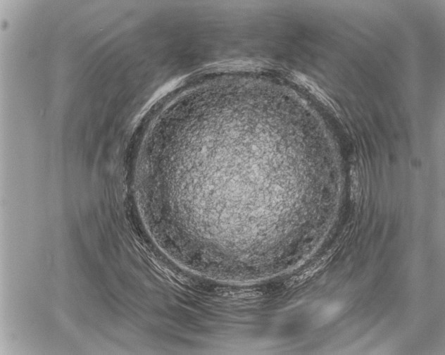 X0000060261213200511010904