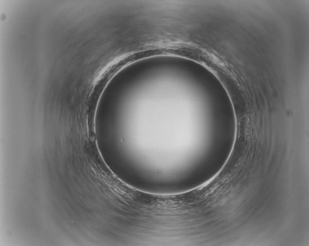 X0000060261214200511010904