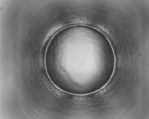 X0000060261215200511010904