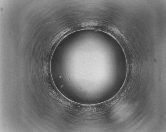 X0000060261217200511010904