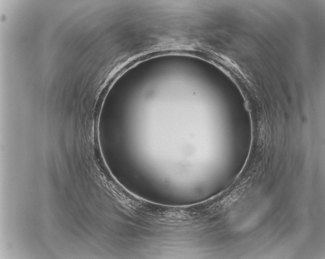 X0000060261220200511010904